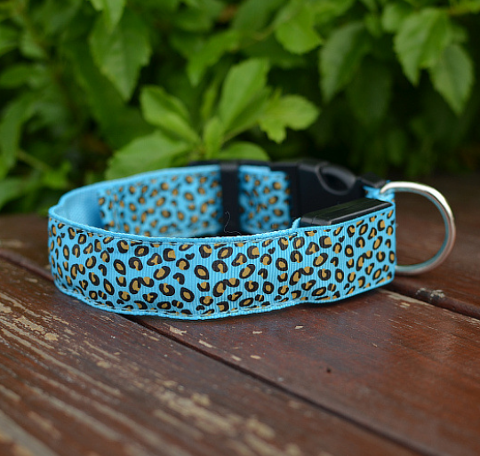Collar LED