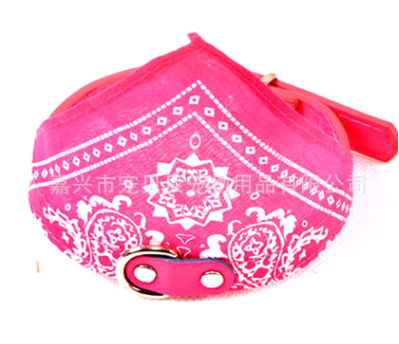 Collar Paliacate Bandana