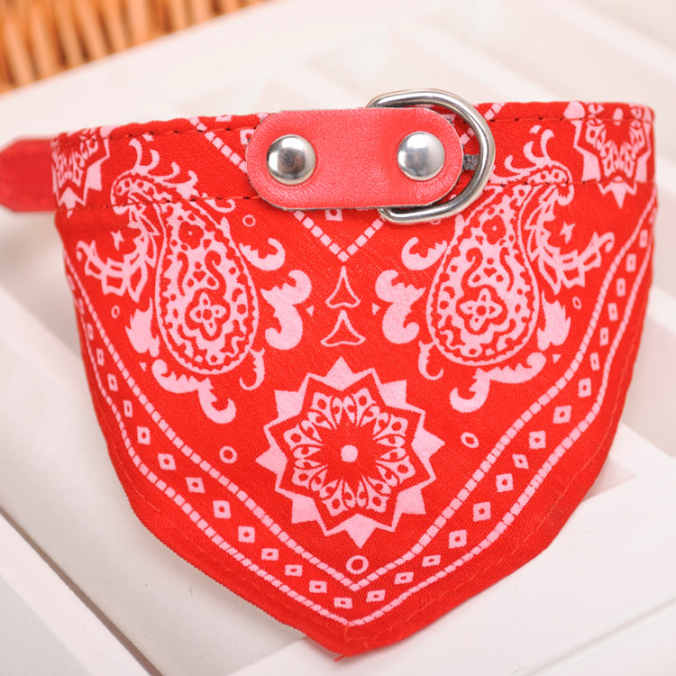 Collar Paliacate Bandana