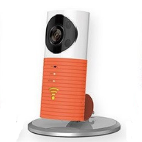 360 degree panoramic Garfield dog network camera