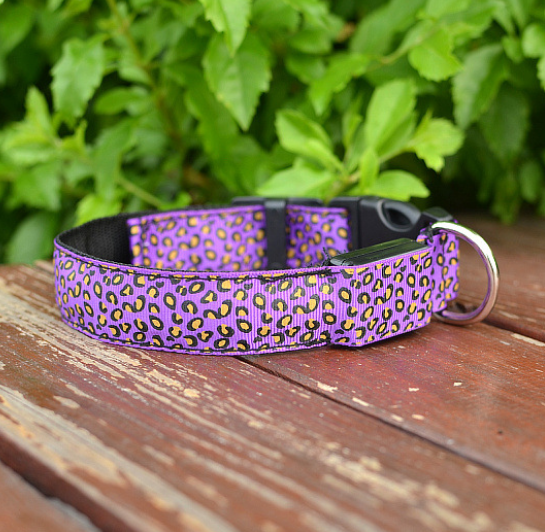 Collar LED