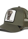 Translation missing: es.sections.featured_product.gallery_thumbnail_alt

