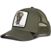 Elephant baseball hat