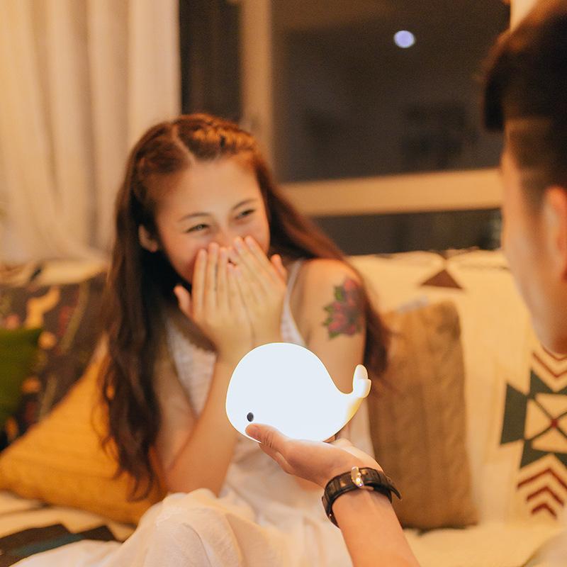 Delfín Luz De Noche